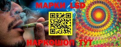 apvp Краснодар