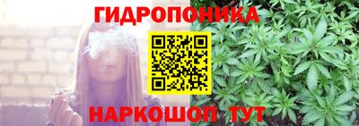 apvp Краснодар